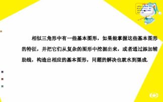 数学中考微型培优专题课五 相似三角形中的基本图形